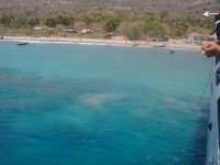 /album/ilha-de-atauro-/atauro-timor2012-111-jpg/